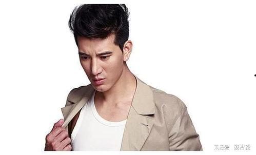 蒲巴甲的照片,阳光帅气，魅力四溢的藏族明星风采